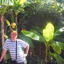 ���� �������, �������, 50 ��� - ��������� 17 �������� 2013 � ������ ���� ����������