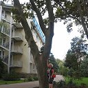 ���� �������, ����-�������, 66 ��� - ��������� 27 �������� 2013 � ������ ����� 2013.�