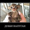 ���� �������, ����� - ��������� 22 ������� 2013 � ������ ���� ����������