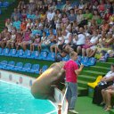 ���� �������, ������, 52 ���� - ��������� 26 ������� 2013 � ������ ���� ����������