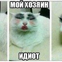 ���� ���, ������ - ��������� 18 ������� 2013 � ������ ���������