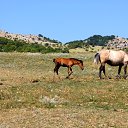 ���� �������, ������, 61 ��� - ��������� 4 ������ 2013 � ������ ���� ����������