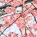 ���� ������, �����-���������, 61 ��� - ��������� 10 ����� 2014 � ������ ��������� ������, ������ 2012�