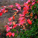 ���� �����, �����, 64 ���� - ��������� 30 ������ 2013 � ������ ��Ψ�