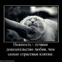 ���� �������, ���������� - ��������� 26 �������� 2013 � ������ ��� ����