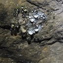 ���� �����, ������, 54 ���� - ��������� 10 ����� 2014 � ������ ���� ����������