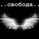 ���� ������, ���������� �����, 45 ��� - ��������� 14 ������ 2014 � ������ ������