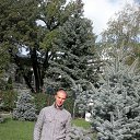 ���� �������, ��������, 38 ��� - ��������� 25 ������ 2014 � ������ ���� ����������