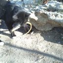 ��� ������ �������� � ��������� �����) �� ������� ���� ����������