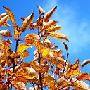 ���� �����, �����, 64 ���� - ��������� 30 ������ 2013 � ������ ��Ψ�