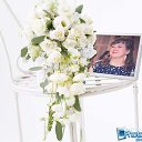 ���� �������, ��������, 54 ���� - ��������� 20 ������ 2014 � ������ ������ ��������