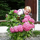 ���� ���������, ���������� �����, 44 ���� - ��������� 14 ����� 2014 � ������ ���� ����������