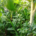 ���� ����, ����������� - ��������� 20 ������ 2014 � ������ �����������