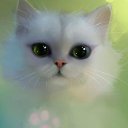 ���� ����, ������, 61 ��� - ��������� 30 ������� 2013 � ������ ���� ����������