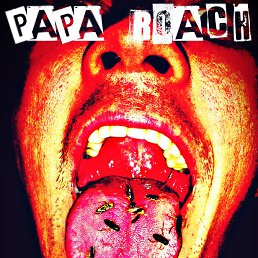 ���� �����, ������, 36 ��� - ��������� 6 �������� 2013