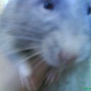 ���� �����, ���������, 31 ��� - ��������� 23 ������ 2014 � ������ ���� ����������