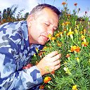 �������� �� ������� ���� ����������