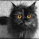 ���� ������, �����, 62 ���� - ��������� 20 ������ 2013 � ������ ���� ����������