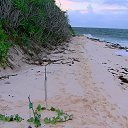  , , 56  -  16  2014   X