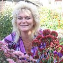 ���� �����, ������� - ��������� 15 �������� 2013 � ������ ���� ����������