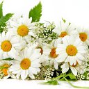  Ale, , 46  -  9  2014    