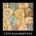  , , 49  -  24  2014   