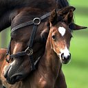 ���� Gela, ������� - ��������� 12 ������� 2013 � ������ �Krasota i ne tolko!...�