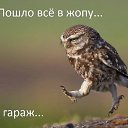 ���� ������, ��������, 48 ��� - ��������� 1 ������� 2013 � ������ ���� ����������