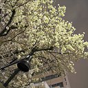 ���� ������, �����-���������, 61 ��� - ��������� 31 ������� 2013 � ������ ������� ������ 2013�