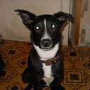 ���� Vitaliy, �������, 63 ���� - ��������� 8 ������� 2013 � ������ ���� ��������� � �� ��������� �������