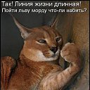 ���� ��������, ��������� - ��������� 3 ������� 2014 � ������ ���� ��� ��������� � ������....�