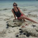 ���� �������, �������, 56 ��� - ��������� 28 ������ 2013 � ������ ���� ����������