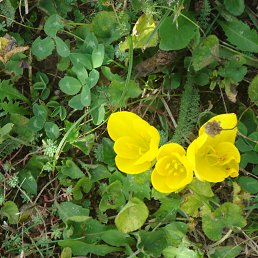 ��������� ����������� ����))))