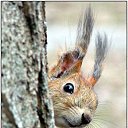 ��, ��� �� ���? �� ������� ���� ����������