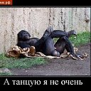 ��� ������. �� ������� �������