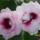 ���� ��������, ���������� �����, 76 ��� - ��������� 30 ������ 2013