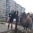 ���� ������, ���, 38 ��� - ��������� 24 ������ 2013 � ������ ���� ����������