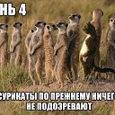 ���� ���, ������� - ��������� 4 ������ 2014 � ������ ���� ����������