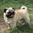 ���� ���������, ���������������, 61 ��� - ��������� 9 ������� 2014 � ������ �������