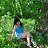 ���� Gulya, ������, 47 ��� - ��������� 17 �������� 2013
