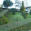 � ��� �����������. �������� � ������� 2014 �. �� ������� ��������˻