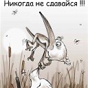 ���� Enohcka, ������������ - ��������� 25 ������ 2013 � ������ �������