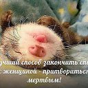 ���� �������� - ������ �������� �� ��������!!!!!!!!, ������ - ��������� 3 ������� 2013 � ������ ���� ����������