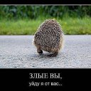 ���� ������, �����, 62 ���� - ��������� 13 ������ 2013 � ������ ���� ����������