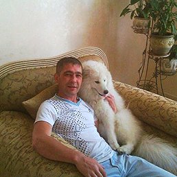 ���� ���������, ������, 46 ��� - ��������� 27 ������ 2013