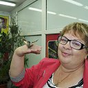 ���� ������, �������, 63 ���� - ��������� 28 ������� 2013 � ������ ���� ����������