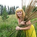 ���� �������, ������������, 43 ���� - ��������� 12 ������� 2013 � ������ ���� ����������