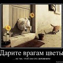 ���� ����, ������, 43 ���� - ��������� 10 ������ 2013 � ������ ���� ����������