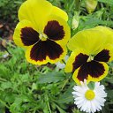 ���� ��������, ��������, 64 ���� - ��������� 30 ������ 2013 � ������ ���� ����������