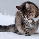 ���� ������, ������, 33 ���� - ��������� 6 ������ 2013 � ������ ���� ����������